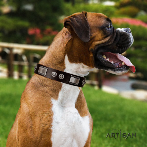 Boxer leather collar with corrosion proof buckle