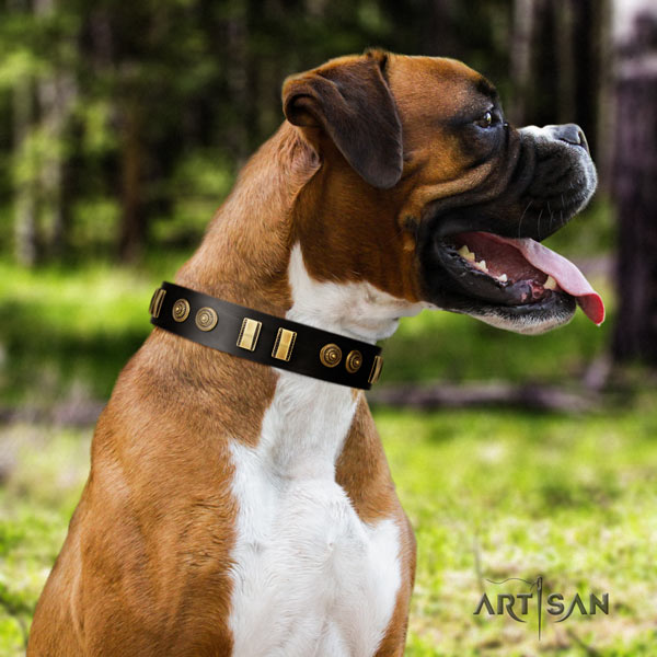 Boxer best quality leather collar with rust resistant hardware