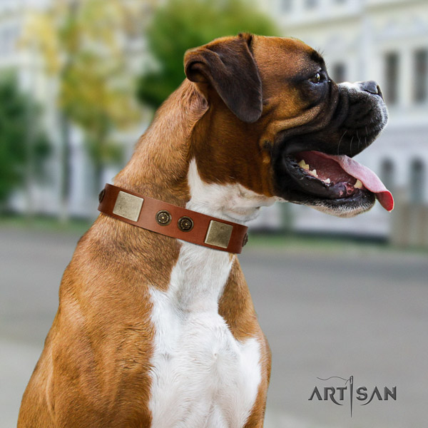 Boxer fashionable full grain genuine leather dog collar for easy wearing