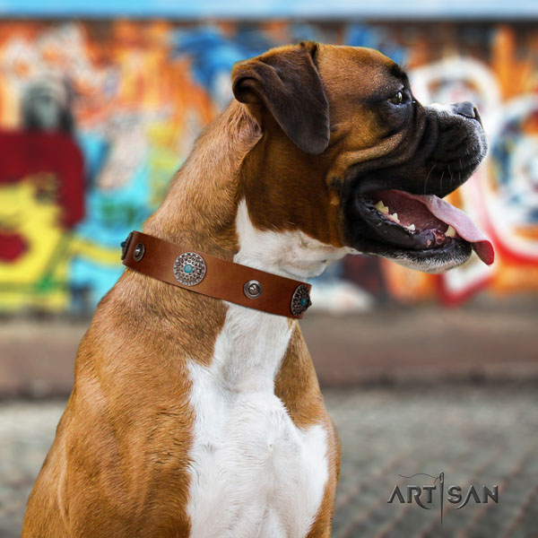 Boxer designer full grain genuine leather dog collar for everyday use