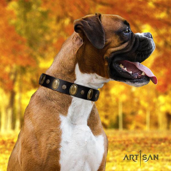 Boxer adorned full grain leather dog collar for easy wearing