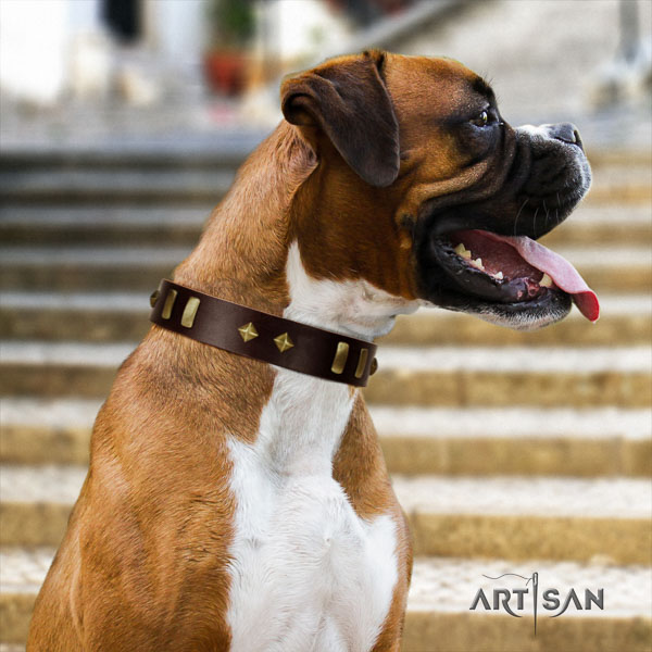 Boxer exceptional natural genuine leather dog collar for basic training