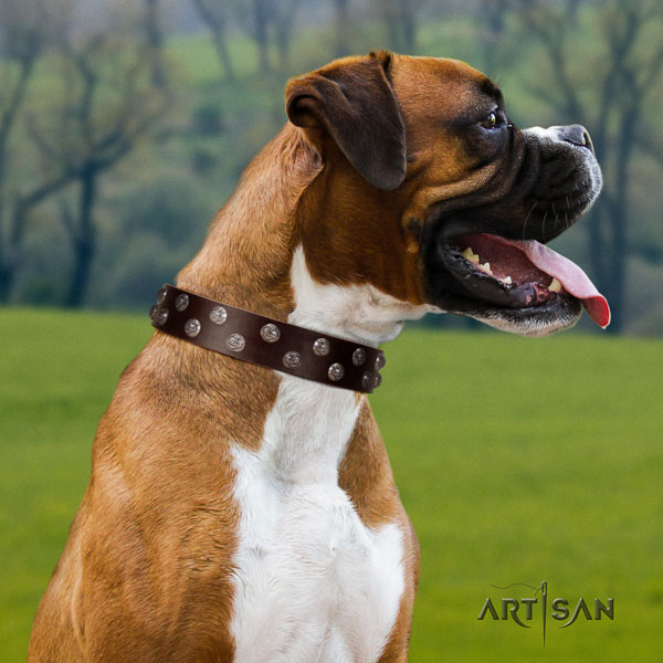 Boxer trendy full grain leather dog collar for easy wearing