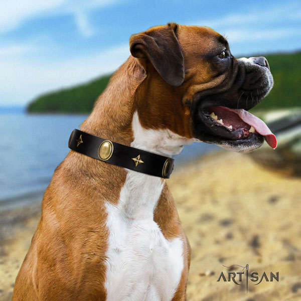 Boxer easy adjustable full grain natural leather dog collar for daily walking