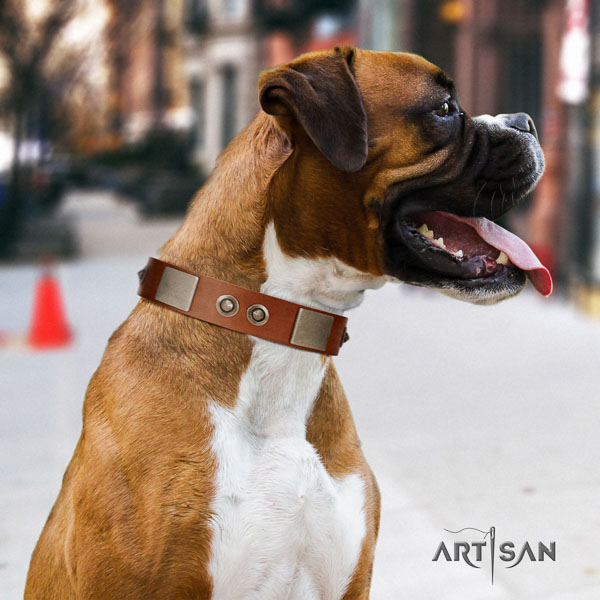 Boxer studded full grain natural leather dog collar for easy wearing