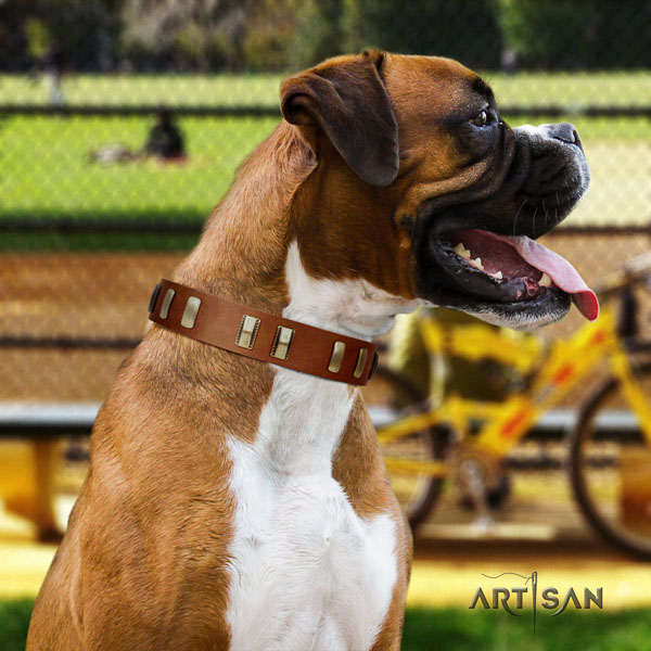 Boxer remarkable full grain natural leather dog collar for stylish walking