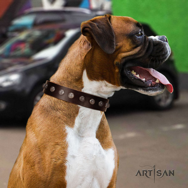Boxer full grain genuine leather collar with strong hardware for comfortable wearing