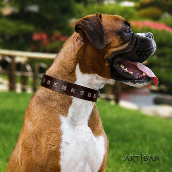 Boxer full grain leather collar with strong D-ring for easy wearing