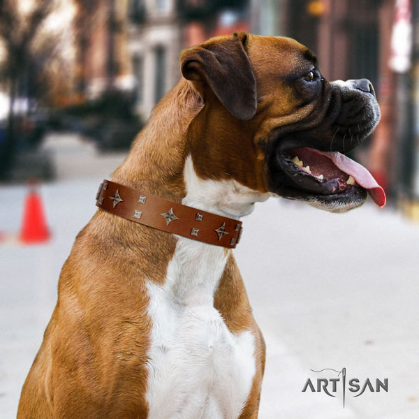 Boxer embellished full grain leather dog collar for walking