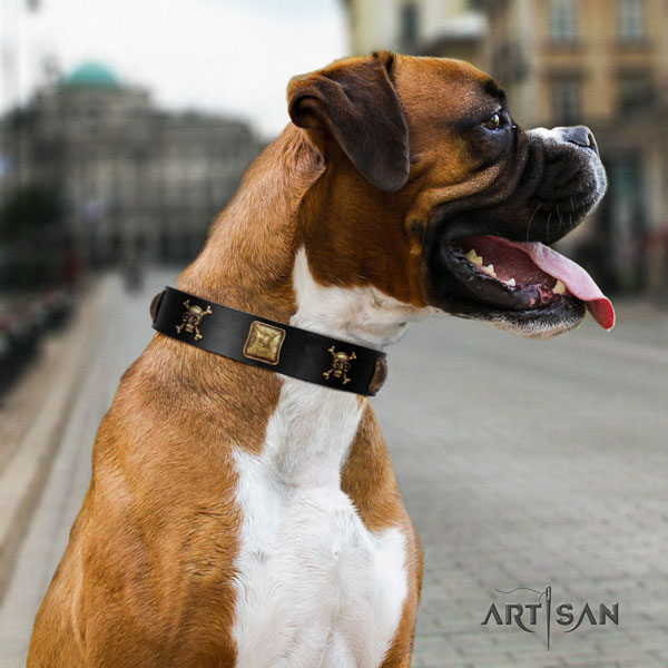 Boxer decorated full grain leather dog collar for everyday walking