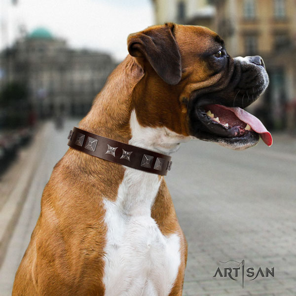 Boxer full grain leather collar with reliable buckle for daily use