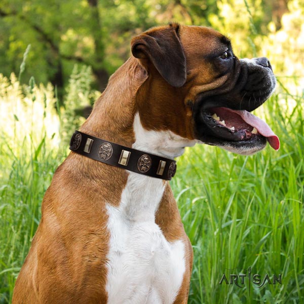 Boxer stylish design full grain genuine leather dog collar for basic training