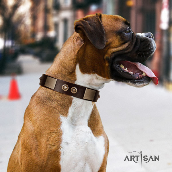Boxer adjustable full grain genuine leather dog collar for walking