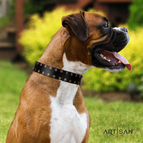 Boxer easy to adjust full grain genuine leather dog collar for everyday walking
