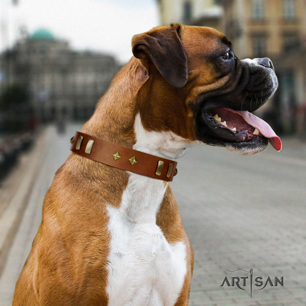 Boxer adorned full grain natural leather dog collar for easy wearing