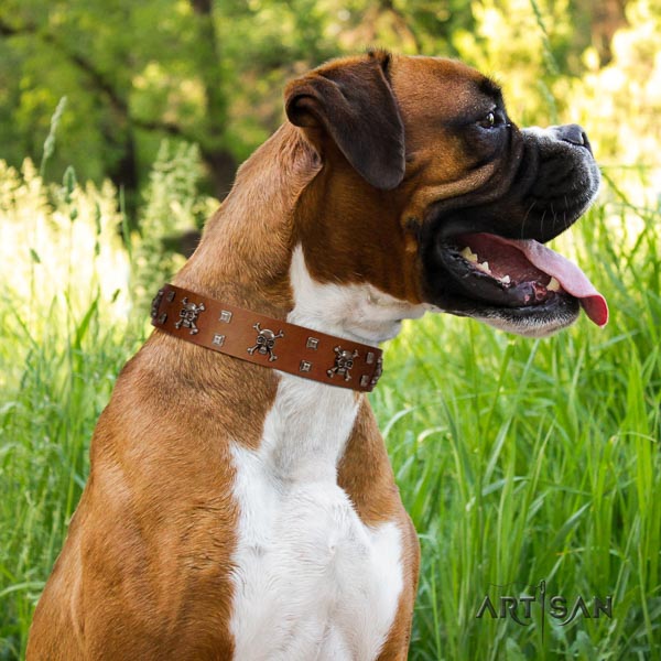 Boxer comfortable full grain leather dog collar for fancy walking