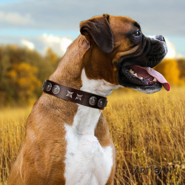 Boxer genuine leather collar with strong D-ring for comfortable wearing
