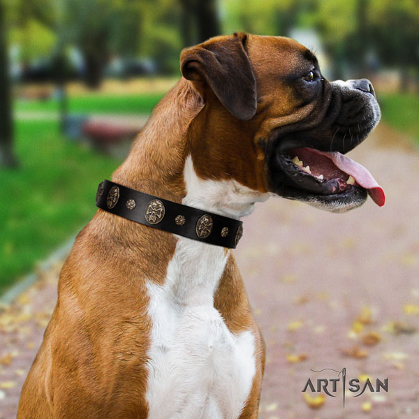 Boxer exquisite full grain genuine leather dog collar for fancy walking