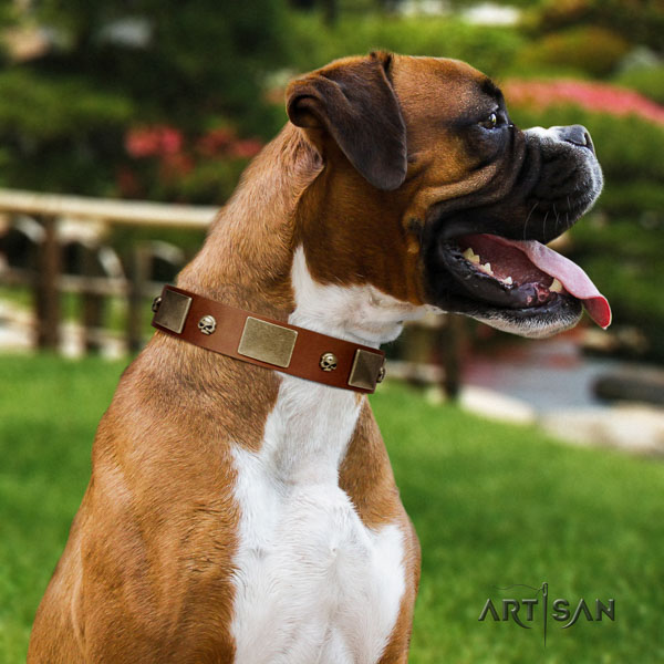 Boxer decorated leather dog collar for comfy wearing