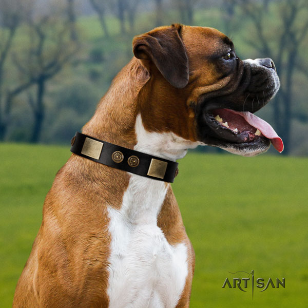Boxer amazing genuine leather dog collar for fancy walking