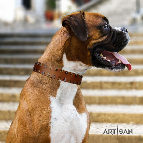 Boxer amazing natural genuine leather dog collar for daily use