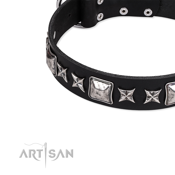 Full grain leather dog collar with studs for comfortable wearing