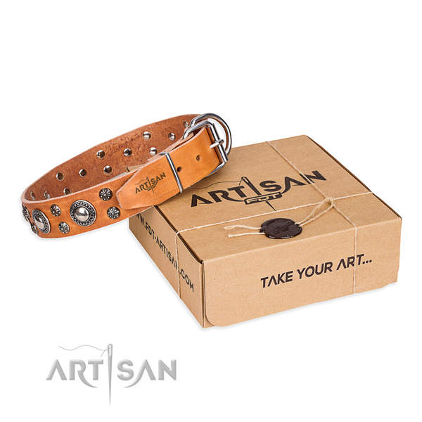 Finest quality full grain natural leather dog collar for everyday use