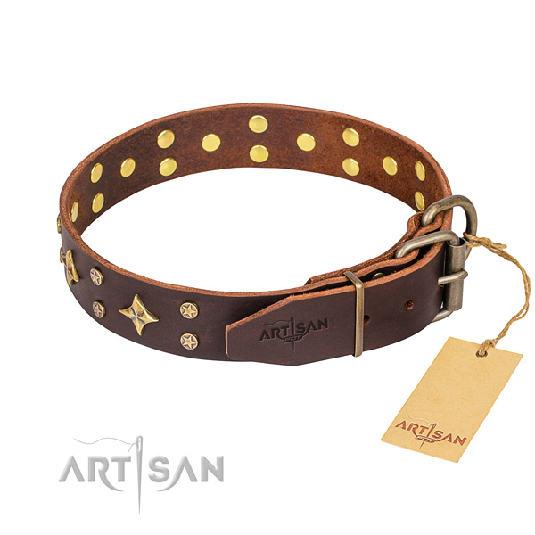 Walking genuine leather collar with embellishments for your canine