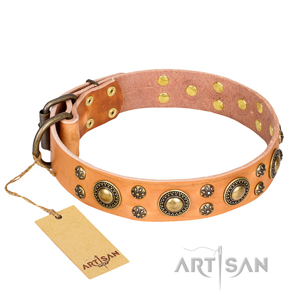 Remarkable genuine leather dog collar for stylish walking
