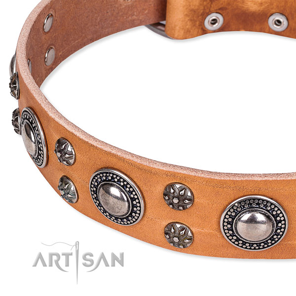 Walking full grain genuine leather collar with reliable buckle and D-ring