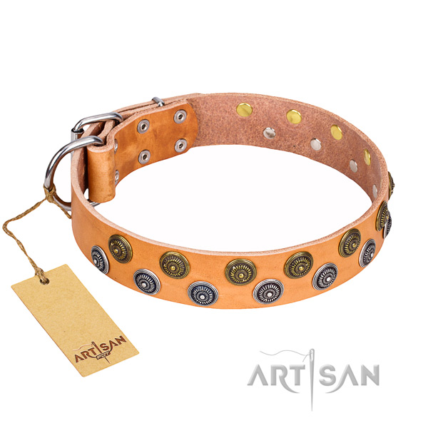 Everyday use full grain leather collar with studs for your pet