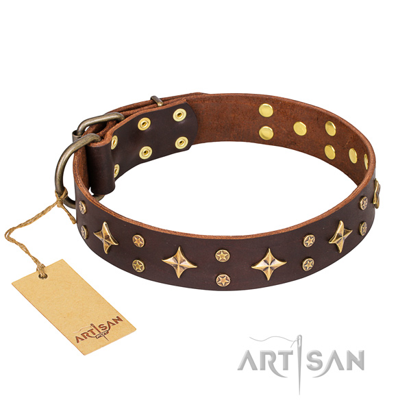 Unusual leather dog collar for handy use