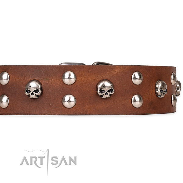 Full grain leather dog collar with smoothed surface