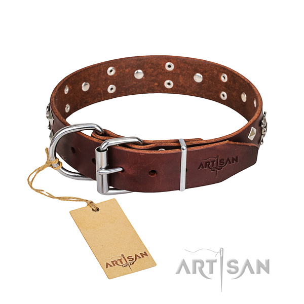Sturdy leather dog collar with sturdy fittings