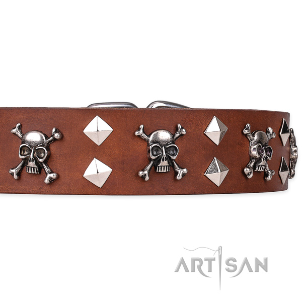 Casual leather dog collar with refined decorations