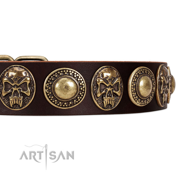 Genuine leather dog collar with adornments for stylish walking