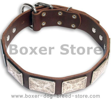 3 inch dog outlet collars