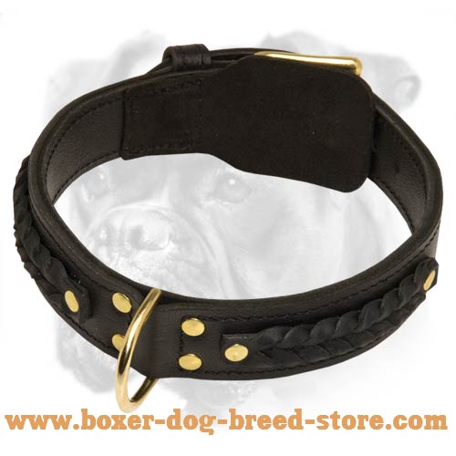 Gorgeous Braided Super Wide Leather Boxer 【Collar】 : Boxer Breed: Dog  harness, Boxer dog muzzle, Boxer dog collar