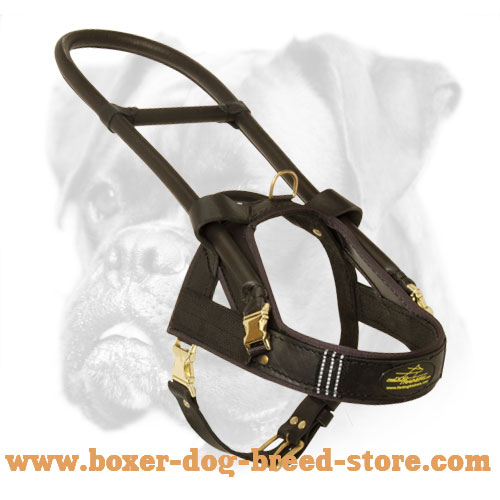 Dog Harness With Handle