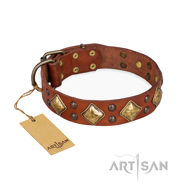 Unique dog clearance collars